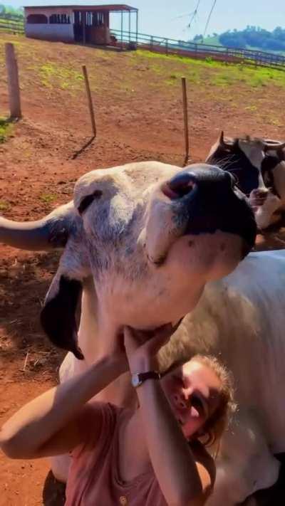 Hooman knows how to scratch.