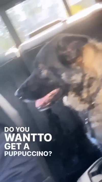 Tim Hortons should've been tagged because the way Kevin reacted Kris is coming 