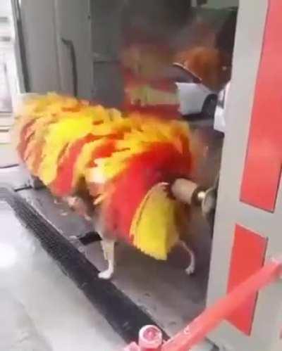 GOOD BOY ShrEDdEd bY raMPaGInG dEATh mAcHINe