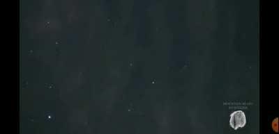 Example of video of my previous sightings