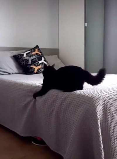 The Void Chooses Violence