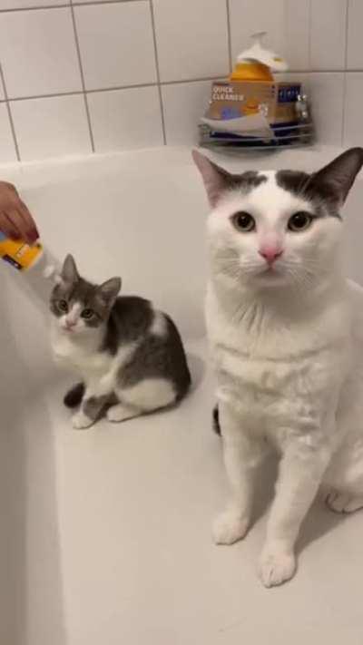 So polite and patient!