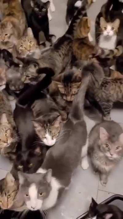 SuRrOunDed bY tHeSe ViCioUS BeaStS, i aM sENdInG tHiS aS a LaSt CaLL foR HeLp, sAvE mE, BeForE TheY deVoUR mE aLivE :'(