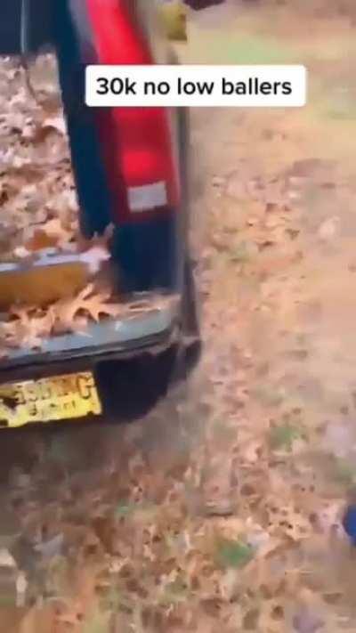 Average used car experience