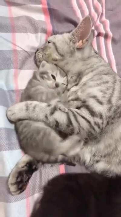 Cuddle Time