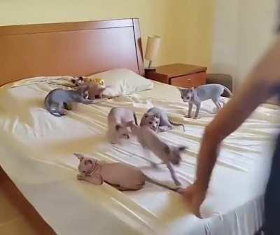 All of you are too much disturbing