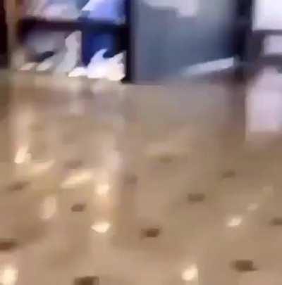 Showdown Pursuit: The Ultimate Boss Chase