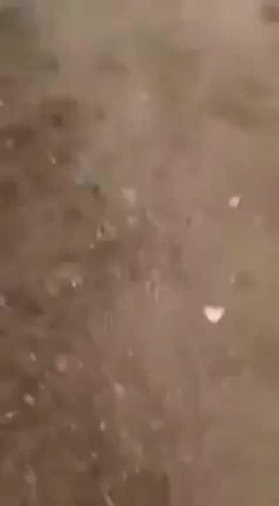 Found this r/crazyfuckingvideos , looks like some village from Tamilnadu.