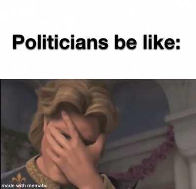 Politics in a nutshell