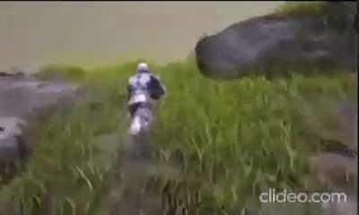 Too much Ark for the day