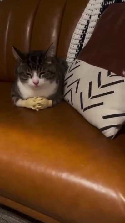 Why does that fit so well together haha!