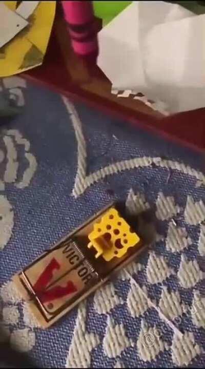 WCGW testing out a mousetrap with a crayon