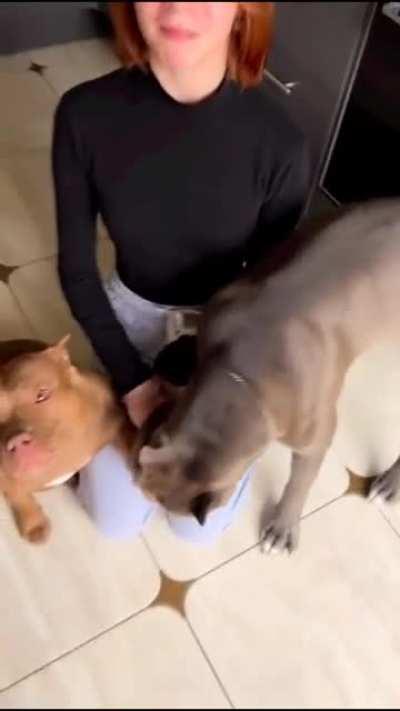 Настя молодец