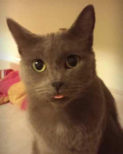 visual drifting experienced on higher doses of psychedelics (not my video)