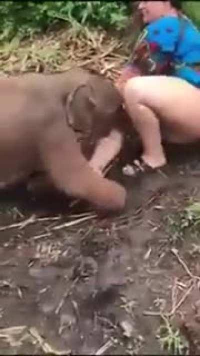 Not really a laughing matter.