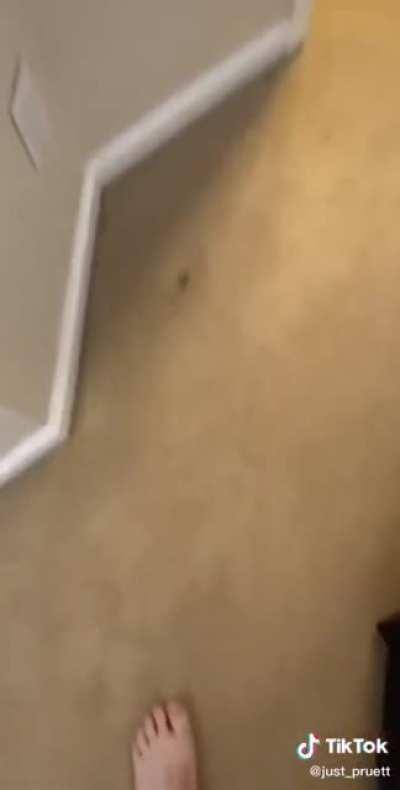 Homie did the right thing 👍🏽