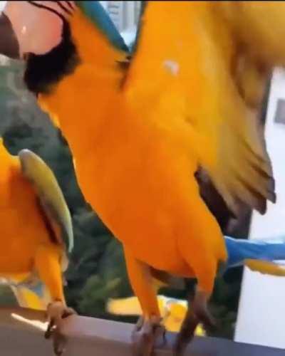 The domino effect is real.