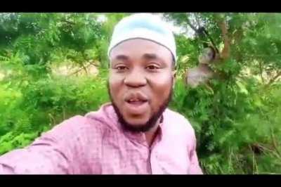 The trees speak in vietnamese