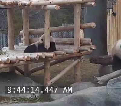 They're just drunk people! 🤷‍♂️