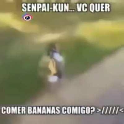 Alguem sabe o nome da musica de fundo?