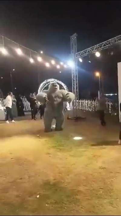 Parties in Egypt be like