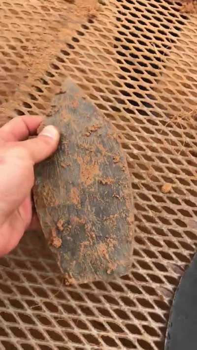 FINEST blades ever found in TX!