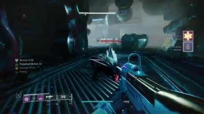 These dogs are scary