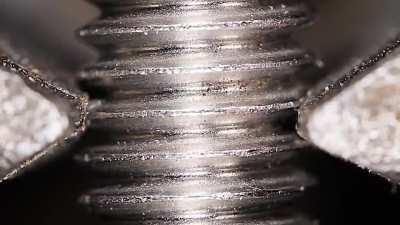 Замедленное кусь