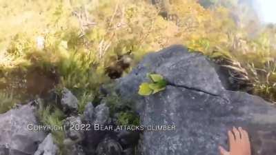 Near encounter with a bear while rock climbing