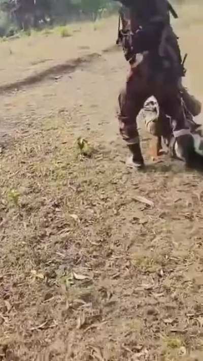 Armed Border Standoff: Bangladeshi Civilians and Guards Stop Illegal Indian BSF Entry!