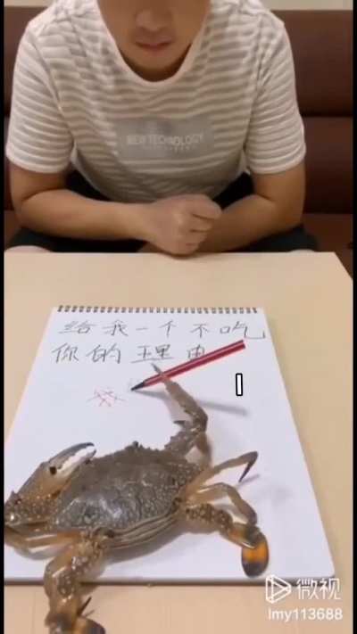 Crab SHOCKS native Chinese speakers with perfect Chinese