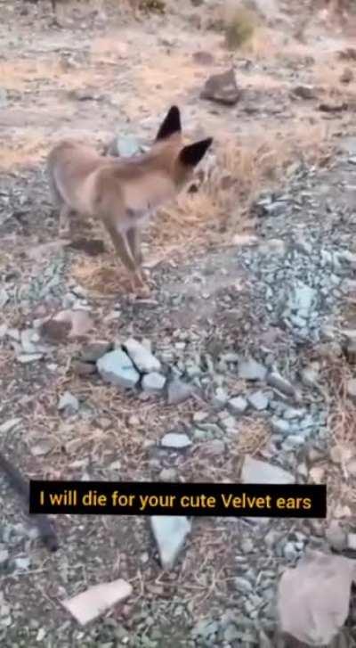 wcgw getting close to nature