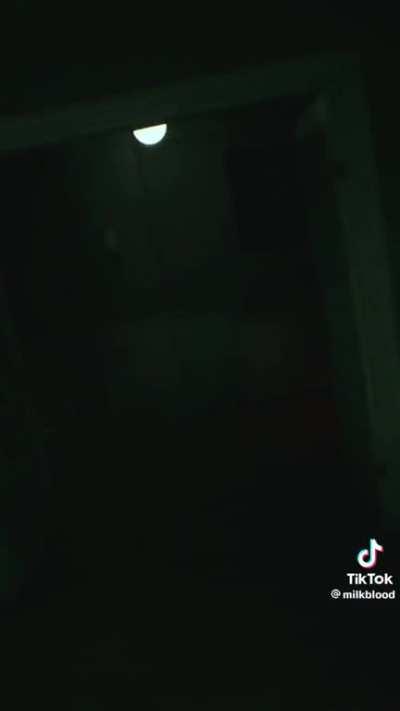 That is a creature to remember 