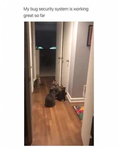 Bug security system works Fine!