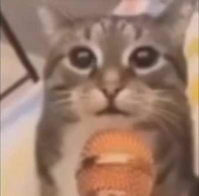 what did he mean by this?