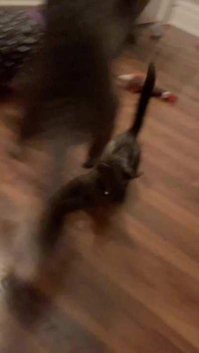 Attack of the Dimension