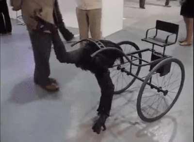 Random stuff I found on my computer while cleaning: chapter thirteen - odd creature