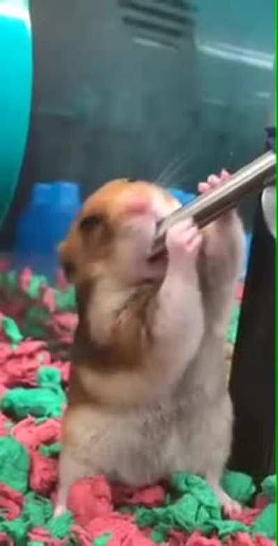 Destrabe de cogote "mamazo style"