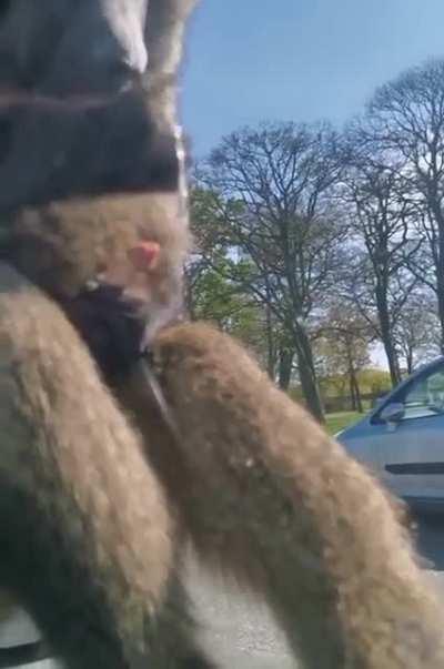 I honestly don't know what to put here