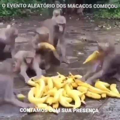CONTAMOS COM VOCÊ