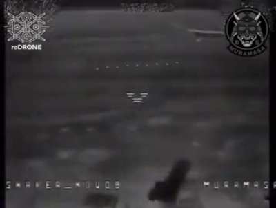 An FPV drone hit a Gvozdika self-propelled gun installation by soldiers of the Muramasa TrO unit in the Donetsk region.