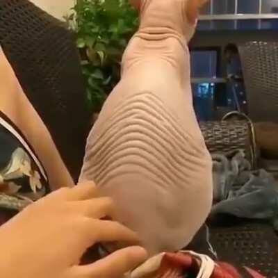 What happens when you scratch that special spot