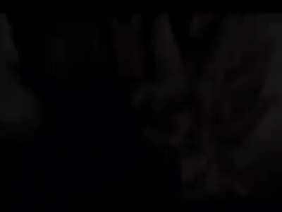 Average dodge enthusiast