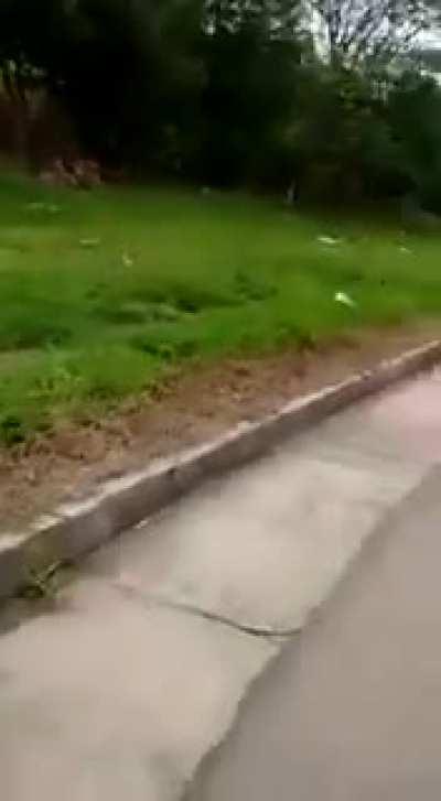 Ejercito asesina civiles.