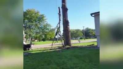 Yeeting yourself into a tree