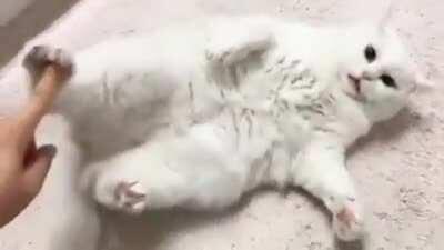 System Error: Tickling Caused Malfunction