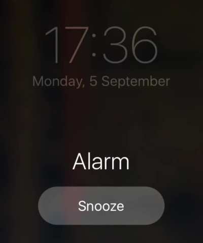 Is my sister based???