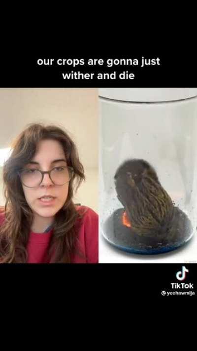 Would a pilgrim think this is witchcraft?