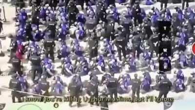 Whoever made this... Thank you!