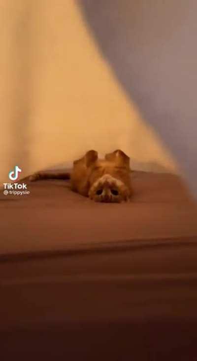 I am secretly 4 mini ghost